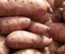 Patate douce